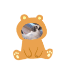シンバくん！！！！（個別スタンプ：2）