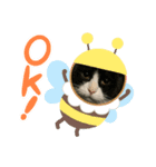 吉澤家のねこたち（個別スタンプ：6）