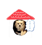 天野家のこむぎさん。2（個別スタンプ：3）
