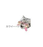 ぶさかわふぁみりぃ2 (メッセージスタンプ)（個別スタンプ：4）