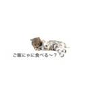 ぶさかわふぁみりぃ2 (メッセージスタンプ)（個別スタンプ：7）