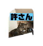 ヒロナくん（個別スタンプ：2）