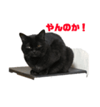 ヒロナくん（個別スタンプ：3）