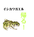 ヤンバルの生き物達（個別スタンプ：2）