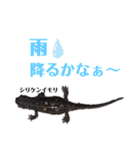 ヤンバルの生き物達（個別スタンプ：21）