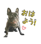 ふれぶるちゃん2〜日常会話〜（個別スタンプ：2）