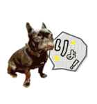 ふれぶるちゃん2〜日常会話〜（個別スタンプ：3）