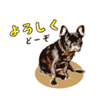 ふれぶるちゃん2〜日常会話〜（個別スタンプ：5）