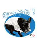 ふれぶるちゃん2〜日常会話〜（個別スタンプ：6）