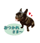 ふれぶるちゃん2〜日常会話〜（個別スタンプ：7）