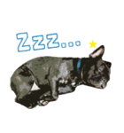 ふれぶるちゃん2〜日常会話〜（個別スタンプ：9）
