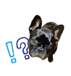 ふれぶるちゃん2〜日常会話〜（個別スタンプ：11）