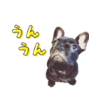 ふれぶるちゃん2〜日常会話〜（個別スタンプ：18）