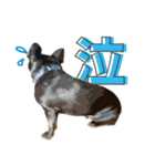 ふれぶるちゃん2〜日常会話〜（個別スタンプ：20）