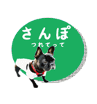 ふれぶるちゃん2〜日常会話〜（個別スタンプ：22）