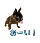 ふれぶるちゃん2〜日常会話〜（個別スタンプ：23）