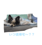 日常で使えるリロくんスタンプ（個別スタンプ：2）