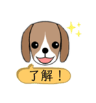 ビーグル 犬（個別スタンプ：5）