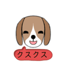 ビーグル 犬（個別スタンプ：15）