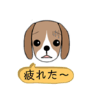 ビーグル 犬（個別スタンプ：23）