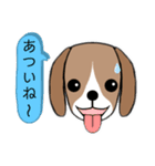 ビーグル 犬（個別スタンプ：24）