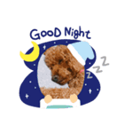 ペルハロ（個別スタンプ：1）