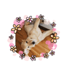愉快な怜央15（個別スタンプ：3）