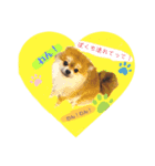 くうちゃんすたんぷ♡（個別スタンプ：1）