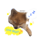 くうちゃんすたんぷ♡（個別スタンプ：3）