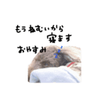 こたちゃんすたんぷほのぼの（個別スタンプ：2）