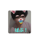 喧嘩4（個別スタンプ：7）
