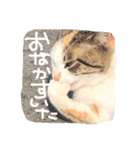 がんばってつくったすたんぷだよ（個別スタンプ：2）