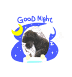 ぼくオレオ（個別スタンプ：3）