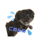 ぼくオレオ（個別スタンプ：5）