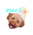 ぼくオレオ（個別スタンプ：8）
