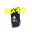 るいラバーズ（個別スタンプ：5）