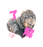 わんず！（個別スタンプ：6）