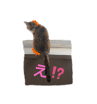茶子ちゃん3（個別スタンプ：3）