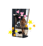 茶子ちゃん3（個別スタンプ：13）