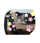 茶子ちゃん3（個別スタンプ：15）