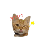 mugi＆（個別スタンプ：1）