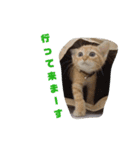 mugi＆（個別スタンプ：6）
