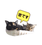 mugi＆（個別スタンプ：14）