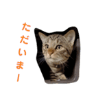 mugi＆（個別スタンプ：19）