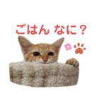 mugi＆（個別スタンプ：31）