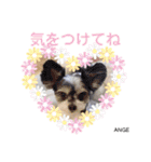大須のジジとお友達のスタンプ❤️（個別スタンプ：5）