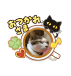 ニアチョビスタンプ（個別スタンプ：4）