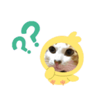 ニアチョビスタンプ（個別スタンプ：6）