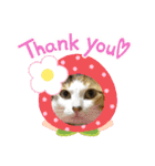 ニアチョビスタンプ（個別スタンプ：12）