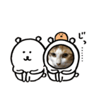 ニアチョビスタンプ（個別スタンプ：16）